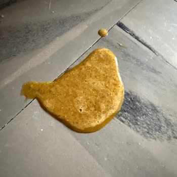 Şüpheli Ürün Nedeniyle Kedimin Sağlığı Tehlikeye Girdi, Satıcı Detaylı İncelensin