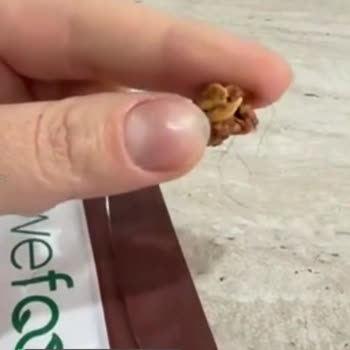 Wefood Glutensiz Granolada Kıl Çıktı