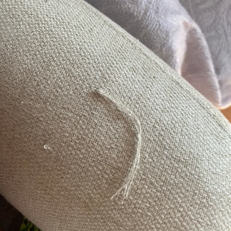 Pati Dostu Kumaş Aldatmacası Ve Yetersiz Müşteri Hizmeti