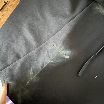 Kargom Zarar Gördü, Şube Sorumluluk Almadı