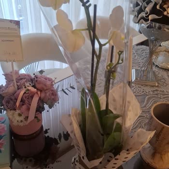 Eksik Ve Özensiz Orkide Teslimatı Özel Günü Mahcup Etti