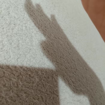 Süpürge Başlığı Yeni Koltuğumun Kumaşına Zarar Verdi