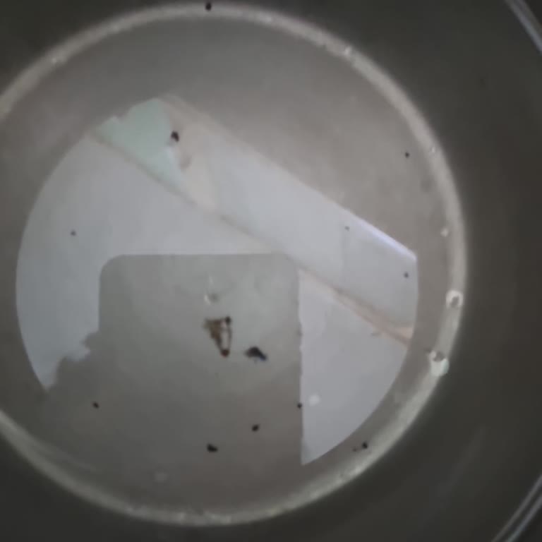 Damacana Suda Yabancı Maddeler Ve Müşteri Hizmetlerine Ulaşılamıyor