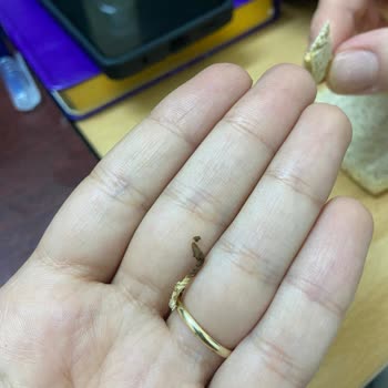 Aldığım Bisküvinin İçinden Yabancı Madde Çıktı