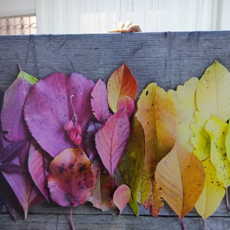 Yanlış Ürün Gönderimi Ve Süreçte Yaşanan Mağduriyet