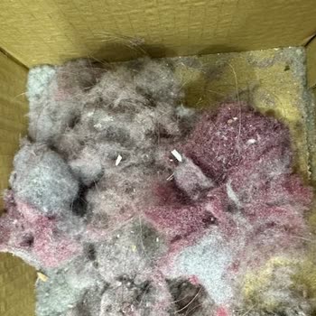 Yıkama Talimatına Uygun Kullanılan Nevresim Takımı Boya Akıttı, Mağaza İlgisiz Kaldı