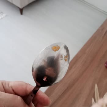 Arızalı Bulaşık Makinesi İçin Çözüm Bulunmuyor, Mağduriyetim Artıyor