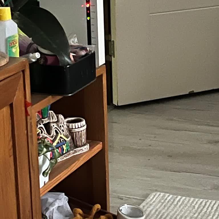 Gün Boyu Süren Fiber İnternet Kesintisi Ve Çözüm Eksikliği