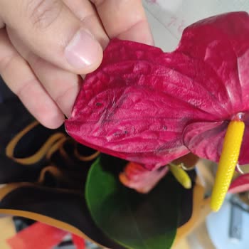 Çürük Çiçek Gönderimi Ve Yetersiz Müşteri Hizmetleri Mağduriyeti