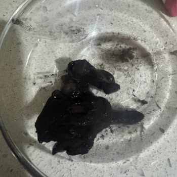 Meyve Suyunda Yabancı Madde Buldum, Ailemle Sağlık Riski Yaşadık