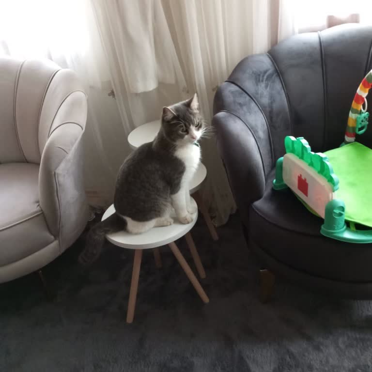 ATM Arızası Nedeniyle Mağduriyet: Yutulan 59.000 TL’nin Acil İadesini Ve Zararımın Giderilmesini Talep Ediyorum