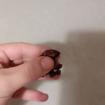 Hafız Mustafa Lokumun İçinden Sert Cisim Çıktı, Dişim Kırıldı