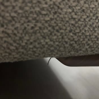 Yeni Alınan Koltuk Takımında Sürekli Sorunlar Ve Hayal Kırıklığı