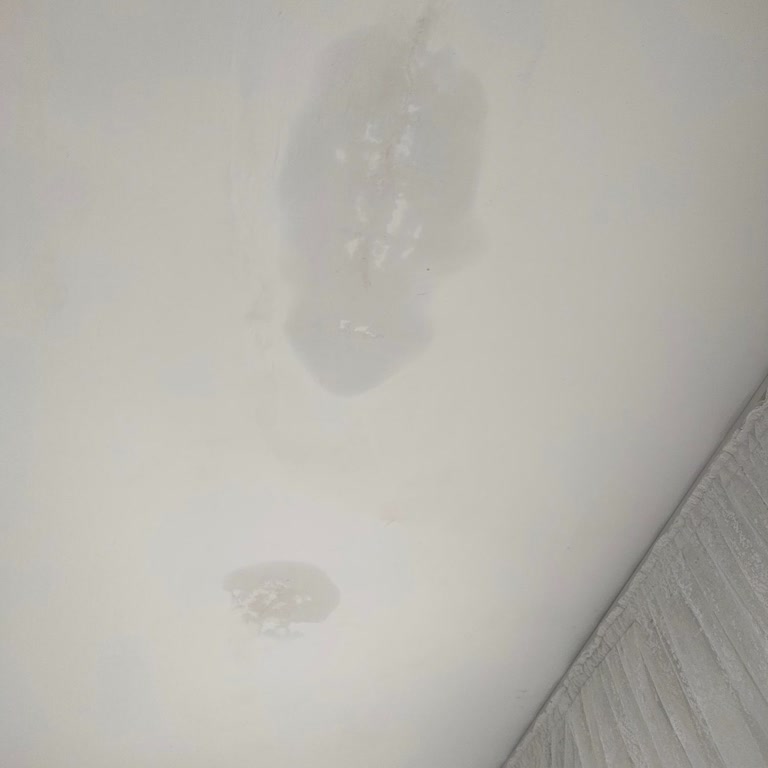 TOKİ Konutunda Çatıdan Kaynaklı Su Sızıntısı Sorununun Giderilmemesi!