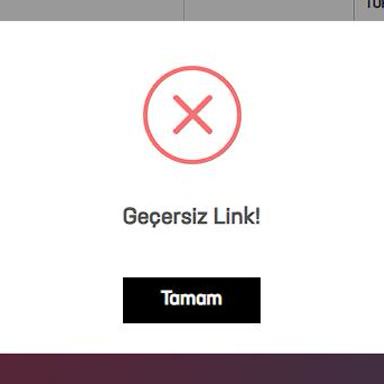 Şifre Sıfırlama Linki Geçersiz Hesabıma Erişemiyorum