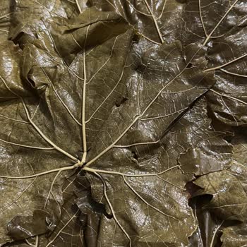 Egeden Köy Ürünleri (egedenkoyurunlerii) Aldığım Salamura Yapraklar Parçalanmış Geldi