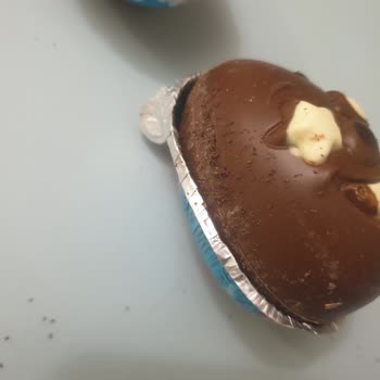 Çocuk Ürünü Ozmo Yumurtadan Canlı Solucan Çıkmasıyla Yaşanan Şok Ve Endişe