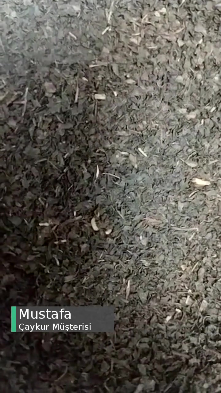 Çaykur Tiryaki Çay Kurtlanması videonun kapak resmi