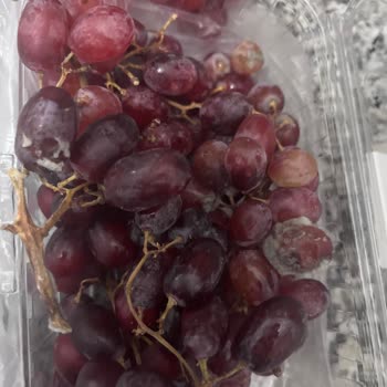 Migros Sanal Marketten Çürük Ve Küflü Üzüm Teslimatı Yaşadım