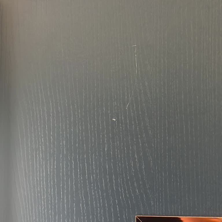 Defolu Gardırop Kapağı Ve Ses Yapan Baza İçin Çözüm Bekliyorum