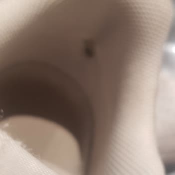 Nike Ayakkabıda Kısa Sürede Sorun ve Olumsuz Değişim Sonucu