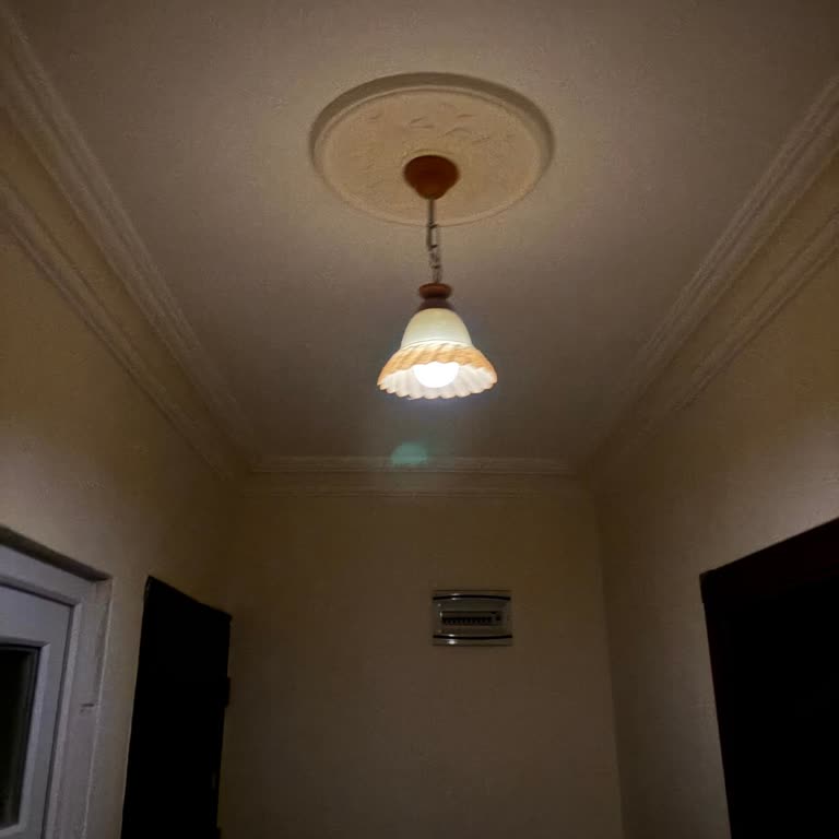 Bir Haftadır Elektriksiz Ve İlgisiz Bırakıldık
