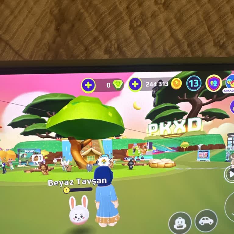 Ödeme Yapıldı Ancak Elmaslar Hesabıma Yüklenmedi