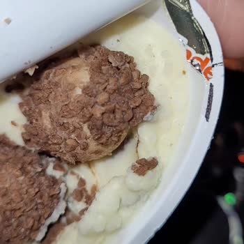 Son Kullanma Tarihi Geçmemiş Kinder Yumurtada Küf Ve Kötü Koku Şoku