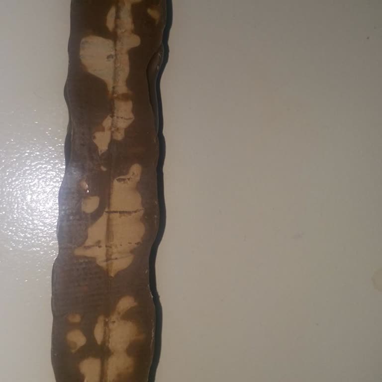 Tarihi Geçmemiş Tadelle Çikolata Bozuk Çıktı Tadı Ve Rengi Farklıydı