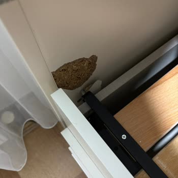 İlk Kullanımda Kırılan Divan Ve İlgisiz Servis Mağduriyeti