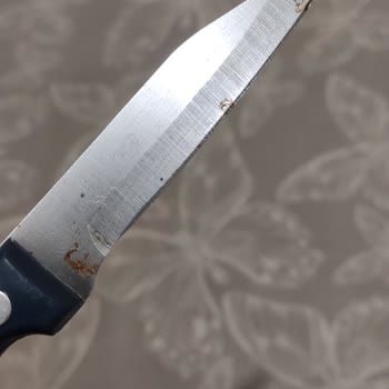 Bulaşık Makinesi Sepetinde Paslanma Ve Sağlık Riski Nedeniyle Ücretsiz Servis Talebi