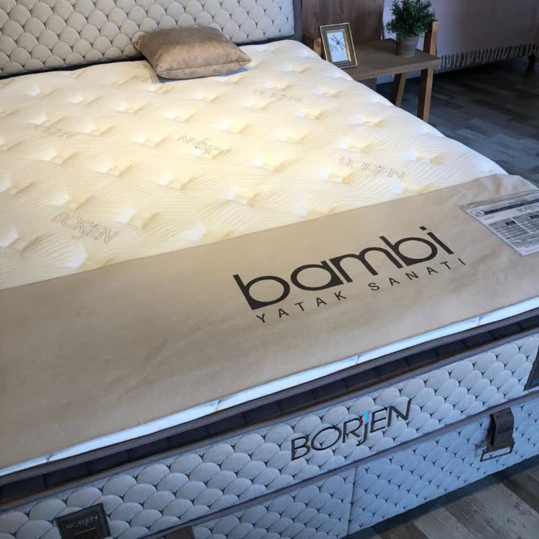 Yatak Alımından Sonra Artan Bel Ve Sırt Ağrısı, Yetersiz Garanti Desteği