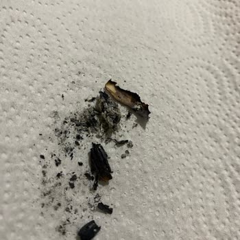 Parliament Night Blue Sigaralarda Sürekli Düzensiz Dolgu Ve Müşteri Memnuniyetsizliği