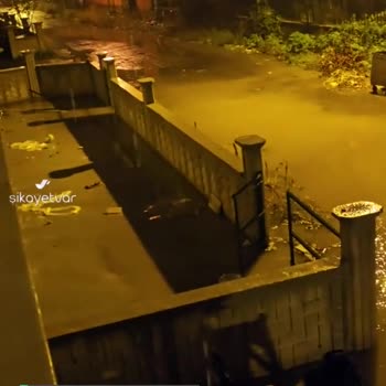 Çarşamba Belediyesi Çevre Kirliliği Çevre Düzenlemesi İstiyoruz!