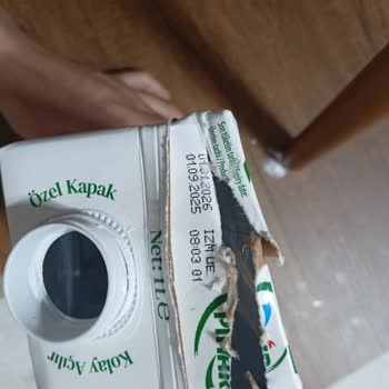 Pınar Sütün Alt Kısmının Sararmış ve Katılaşmış Olması