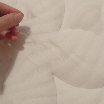 Tanıtım Sırasında Süpürge İle Yatağım Zarar Gördü, Masrafım Karşılanmadı