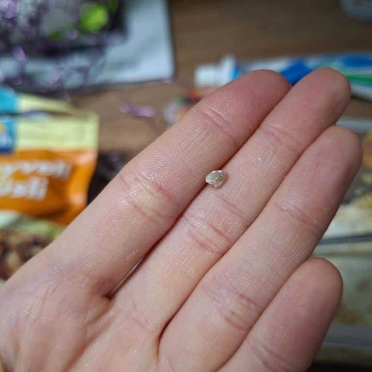 Burch Kuru Meyveli Çıtır Müsli İçinden Taş Çıkması Ve Gıda Güvenliği Endişesi