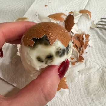 Son Kullanma Tarihi Geçmemiş Yumurtada Hijyen Sorunu Ve Güven Kaybı Yaşadım