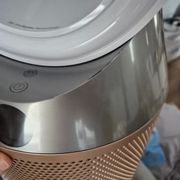 Kısa Sürede Boya Atan Dyson Hava Temizleyici İçin Çözüm Bekliyorum