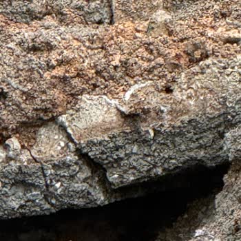 Elektrik Çalışmasında Kanalizasyon Bacasına Verilen Zarar Ve Onarım Talebi