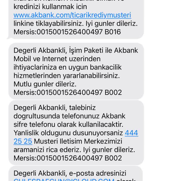 Onaylanan Ticari Kredi Kullandırılmıyor, Net Açıklama Yok