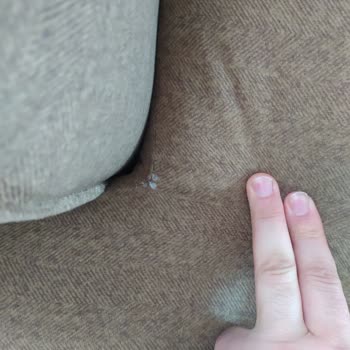 Kelebek Mobilya Novardy Koltuk Takımında Kumaş Sorunu Ve Yetersiz Müşteri Hizmeti