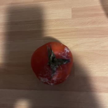 Arçelik 270561eb Şikayeti