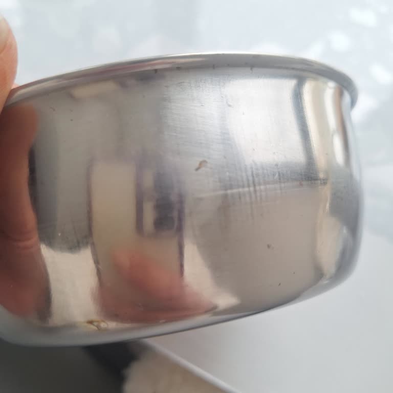 Beko Bulaşık Makinesinde Yıllardır Süren Paslanma Sorunu Çözülmüyor