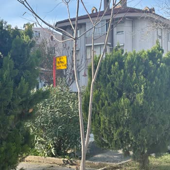 Silivri Bölge Trafik Durağında Korunak Ve Oturma Alanı Eksikliği Mağduriyet Yaratıyor