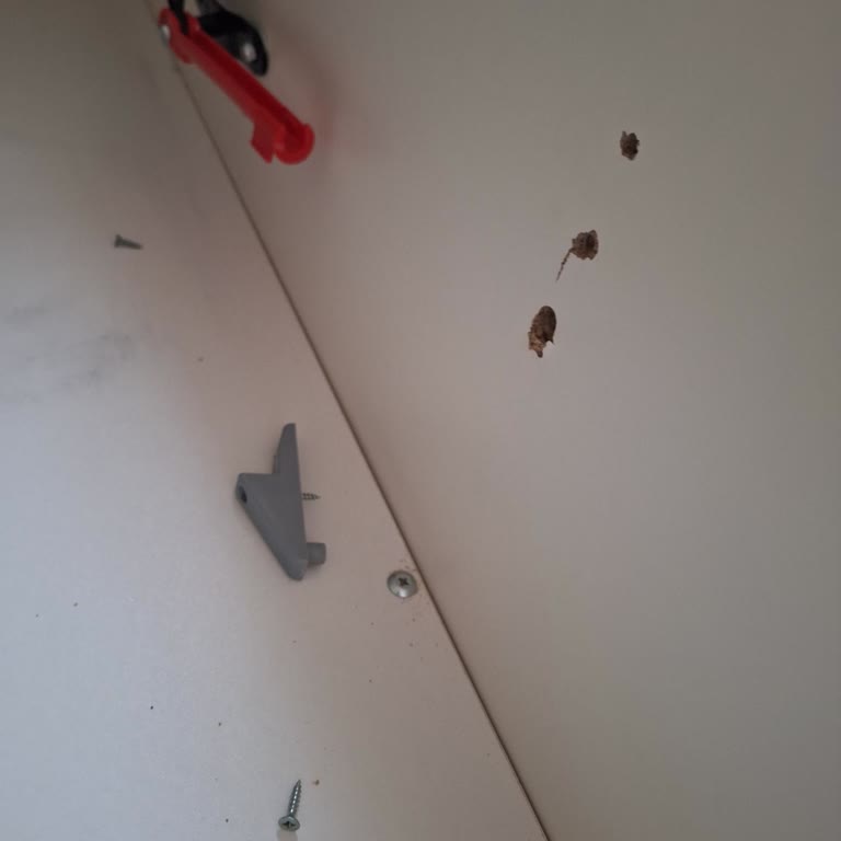 Aynı Model Üç Bazada Kısa Sürede Menteşe Kırılması Ve Garanti Sorunu