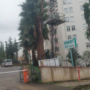 Trafo Direği Ve Tehlikeli Ağaç Dalları İçin YEDAŞ'tan Acil Müdahale Bekliyoruz