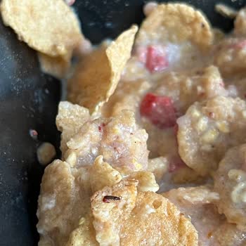 Kellogg's Kırmızı Meyveli Gevreğin İçinden Böcek Çıktı!