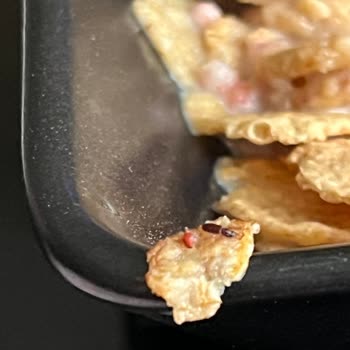 Kellogg's Kırmızı Meyveli Gevreğin İçinden Böcek Çıktı!