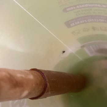 Aldığım İçecekten Sinek Çıkması Nedeniyle Sağlık Endişesi